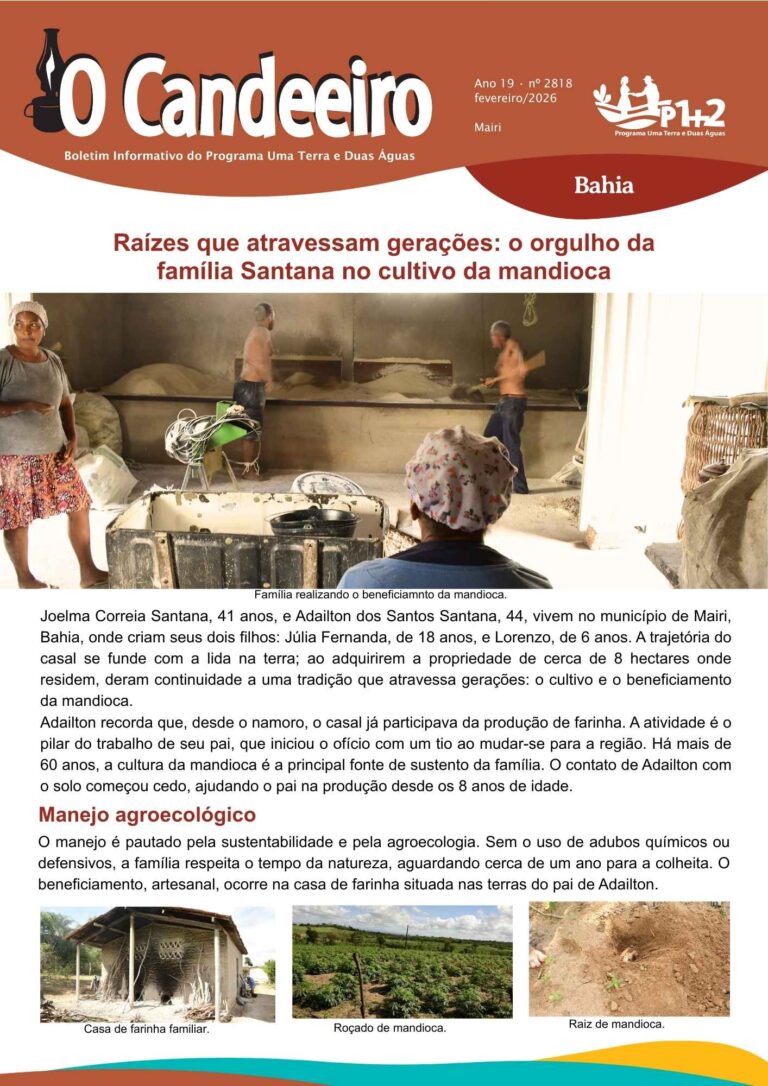 Raízes que atravessam gerações: o orgulho da família Santana no cultivo da mandioca