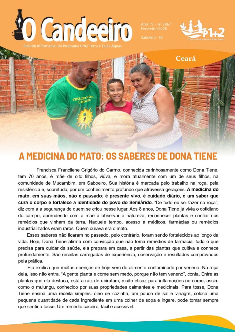 A MEDICINA DO MATO: OS SABERES DE DONA TIENE