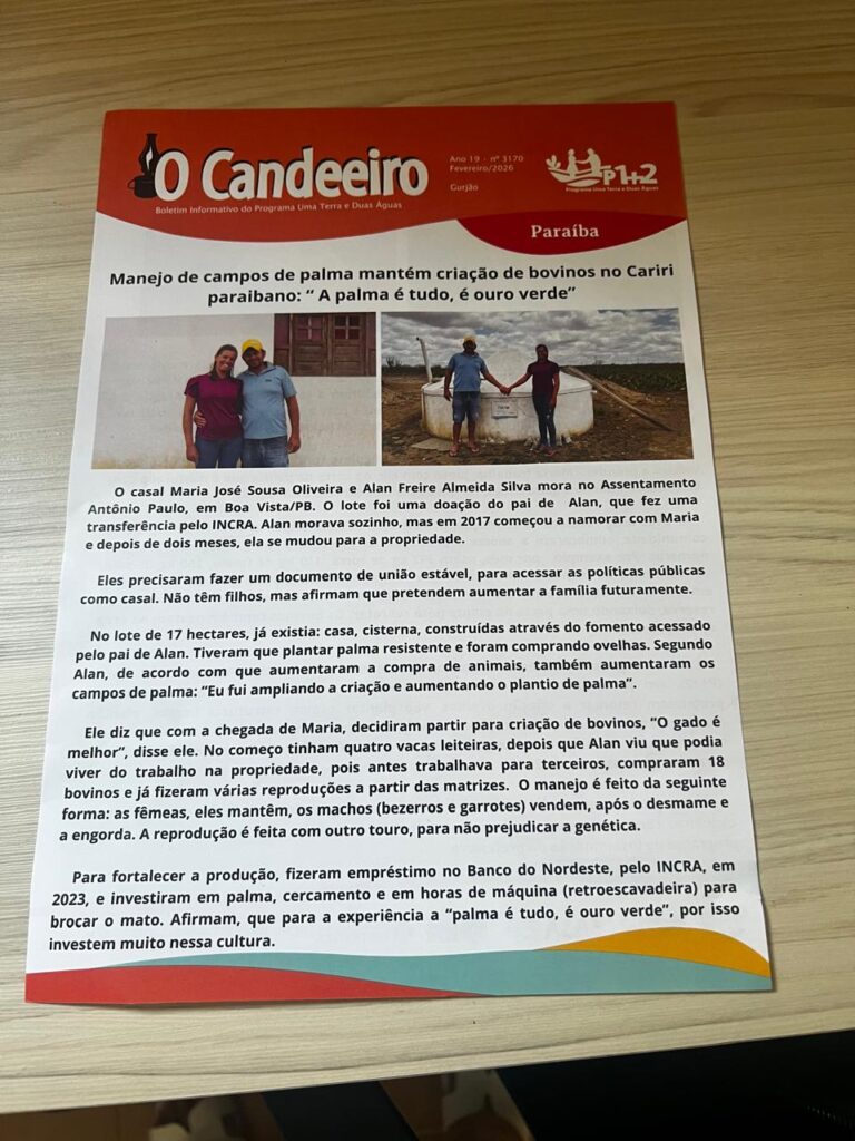 Manejo de campos de palma mantém criação de bovinos no Cariri paraibano: “ A palma é tudo, é ouro verde”