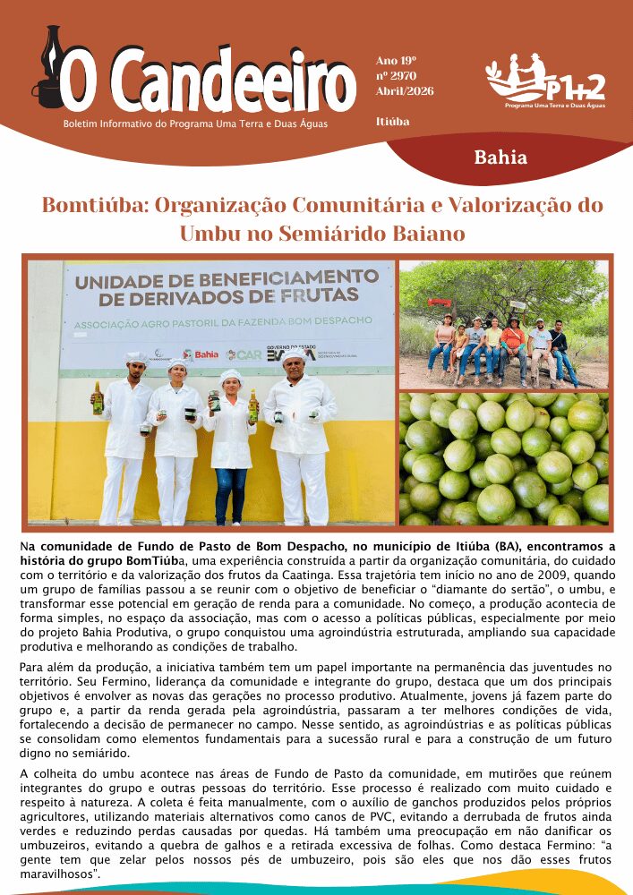 BomTiúba: Organização Comunitária e Valorização do Umbu no Semiárido Baiano