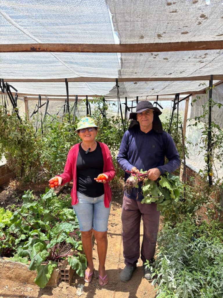 Cisterna calçadão é sinônimo de água e  esperança para família Torres