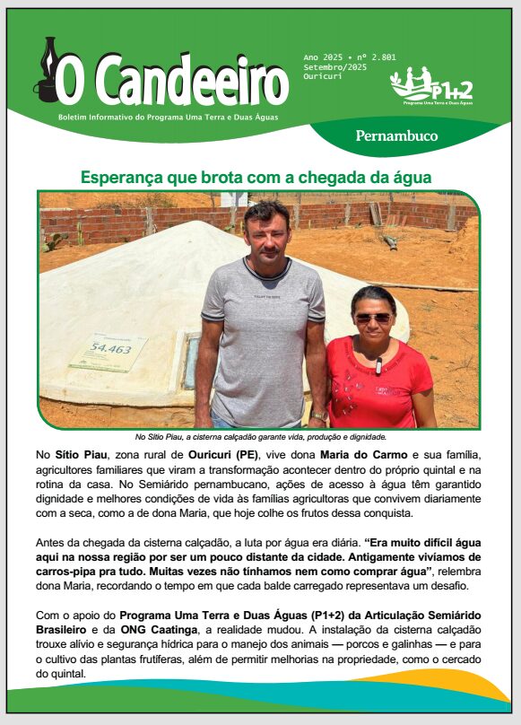 Esperança que brota com a chegada da água