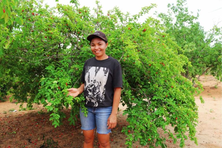 Licuri: tradição que atravessa gerações e fortalece a renda