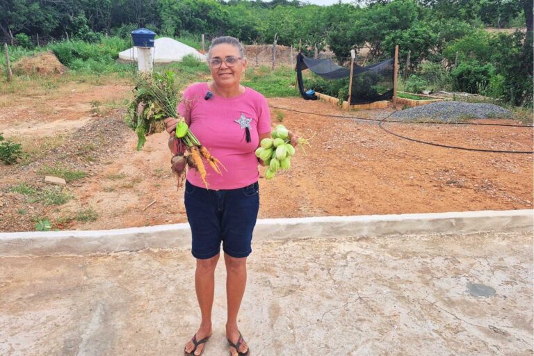 Mais autonomia na roça com energia solar e irrigação
