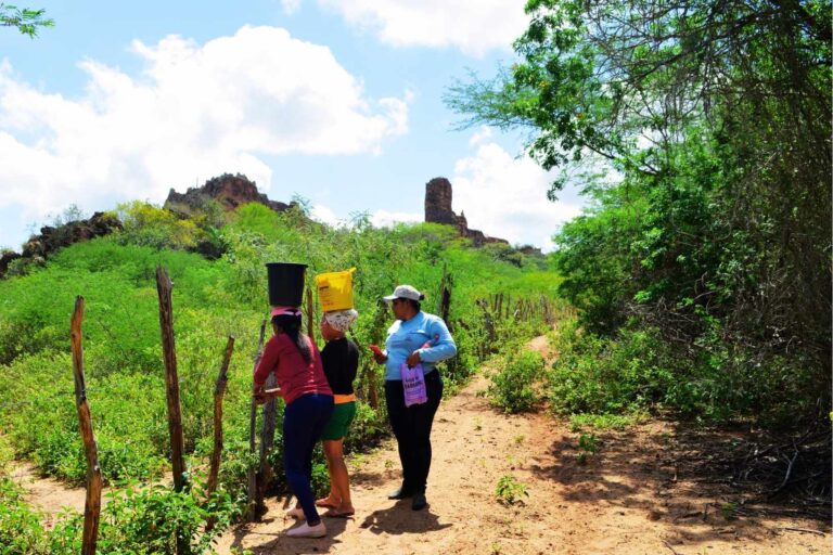Mulheres do murici: união, saberes e resistência na Caatinga
