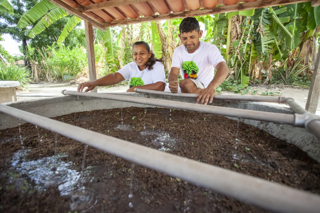 Além da cisterna: conheça seis tecnologias sociais de produção e estocagem do Semiárido