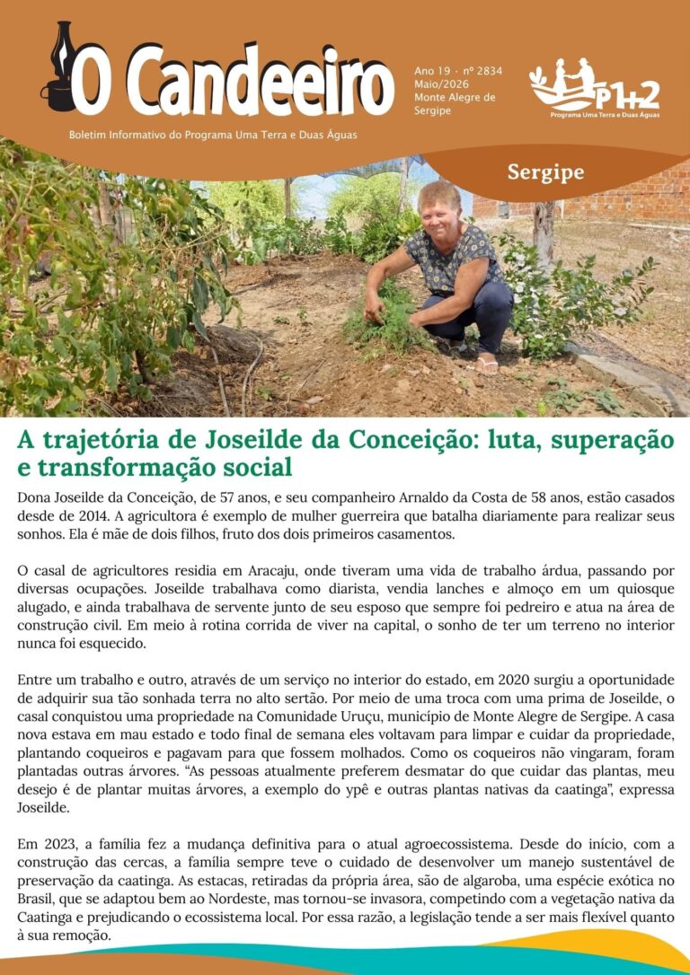 A trajetória de Joseilde da Conceição: luta, superação e transformação social
