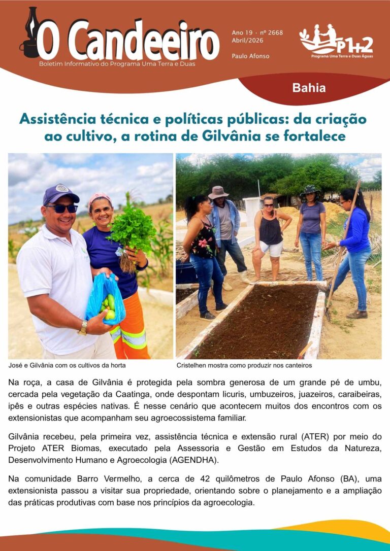 Assistência técnica e políticas públicas fortalecem a rotina de Gilvânia