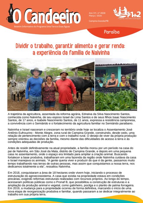 Dividir o trabalho, garantir alimento e gerar renda:  a experiência da família de Nalvinha