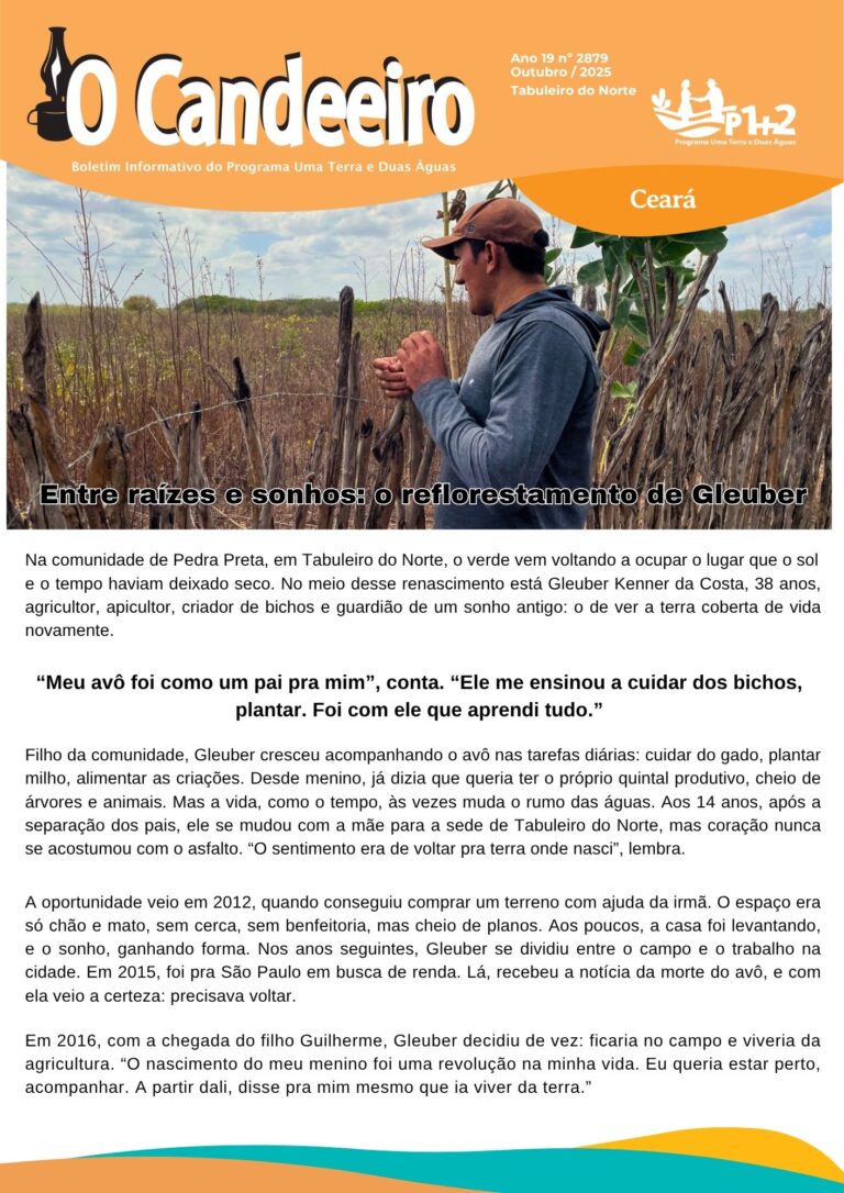 Entre raízes e sonhos: o reflorestamento de Gleuber