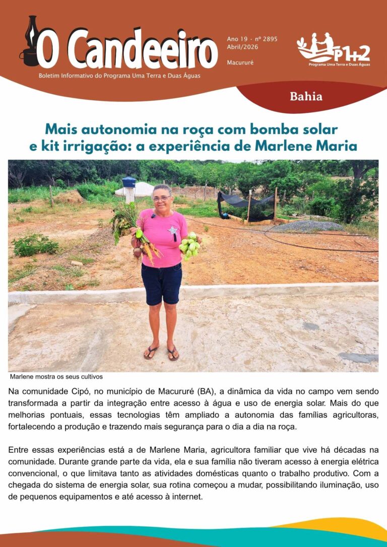 Mais autonomia na roça com energia solar e irrigação