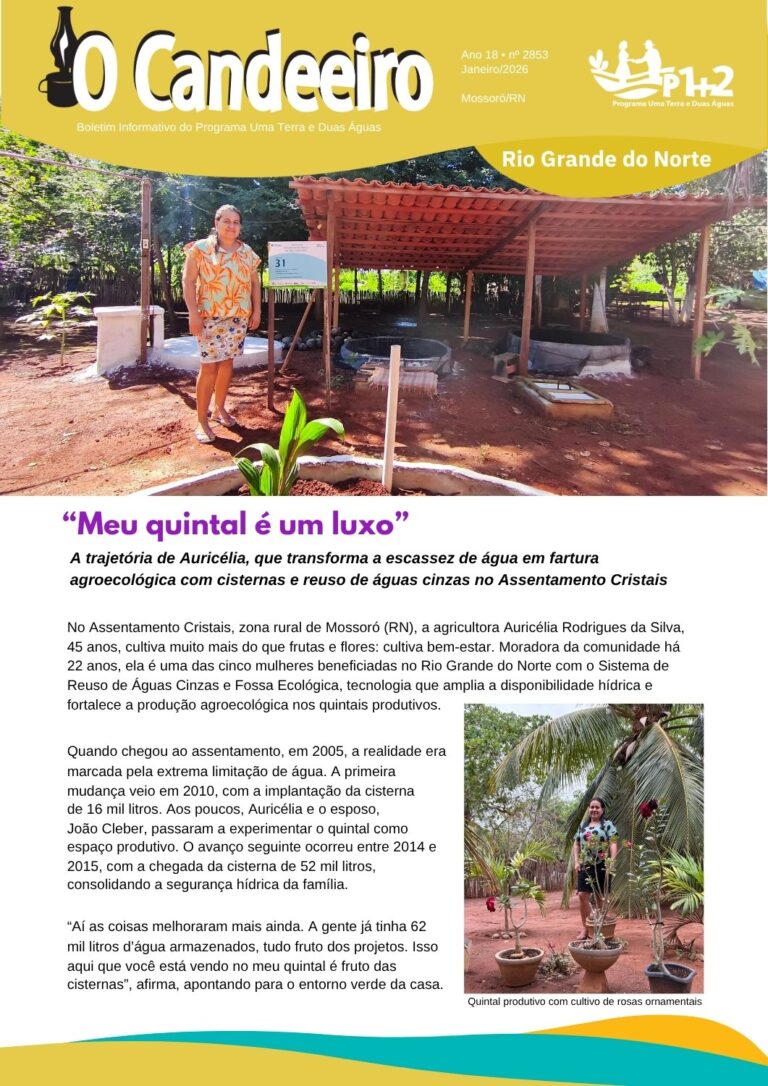 “Meu quintal é um luxo”
