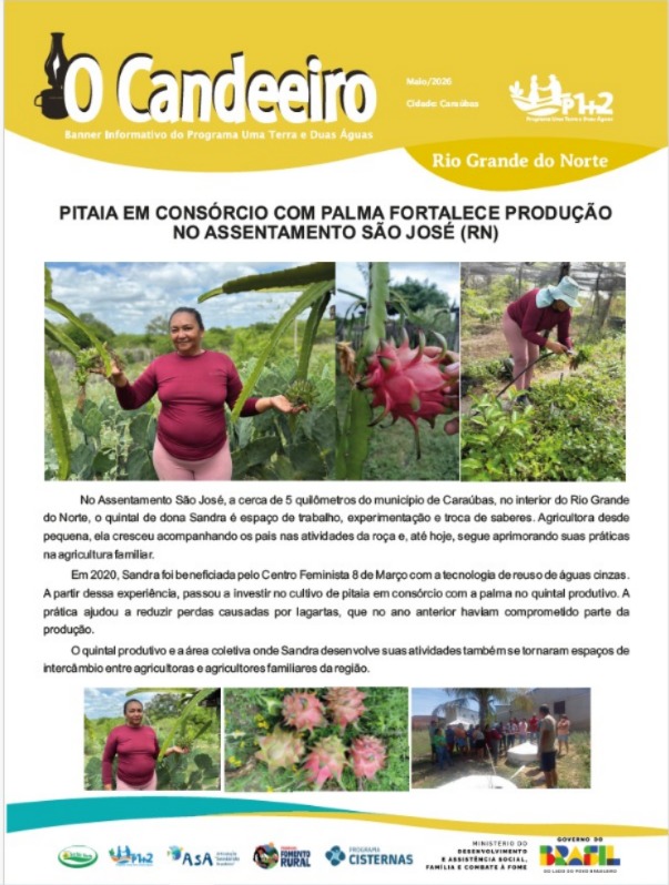 PITAIA EM CONSÓRCIO COM PALMA FORTALECE PRODUÇÃO NO ASSENTAMENTO SÃO JOSÉ (RN)