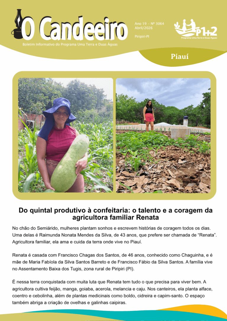 Do quintal produtivo à confeitaria: o talento e a coragem da agricultora familiar Renata