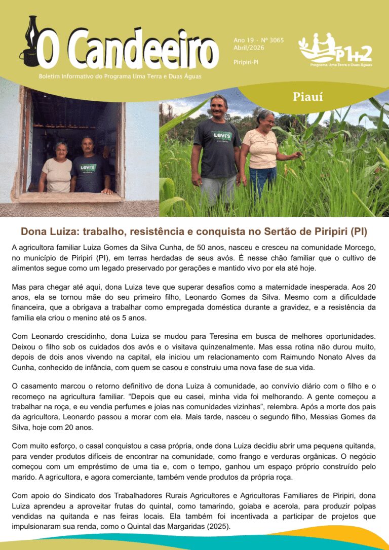 Dona Luiza: trabalho, resistência e conquista no Sertão de Piripiri (PI)