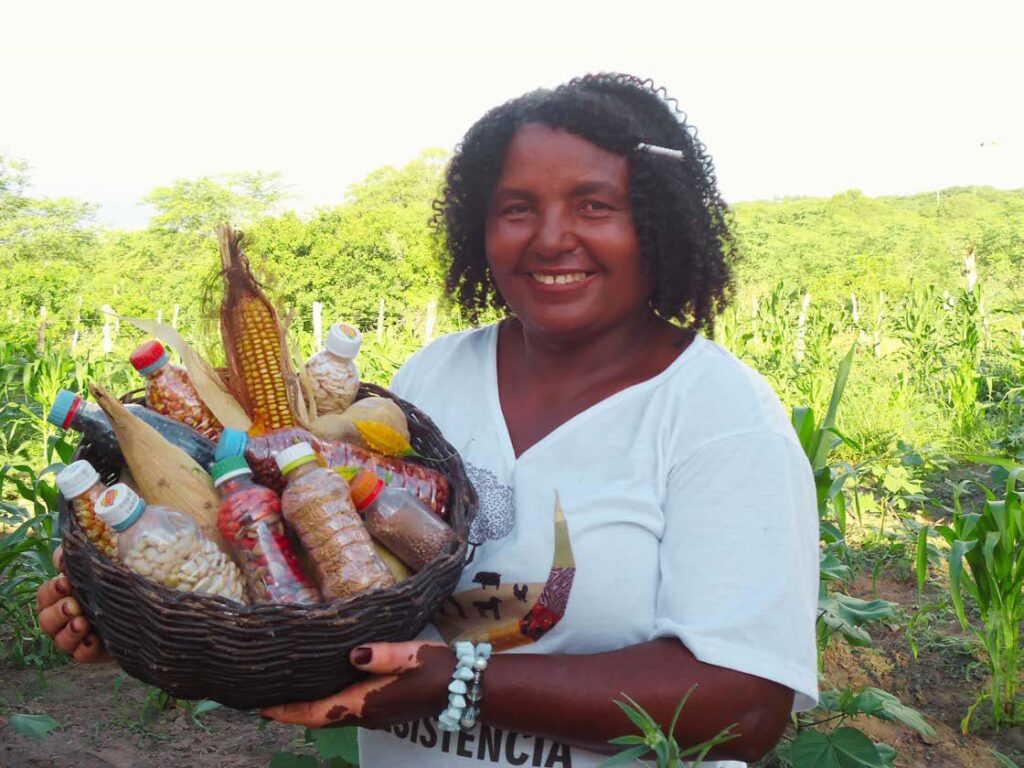 Quem é um ativista climático no imaginário brasileiro?