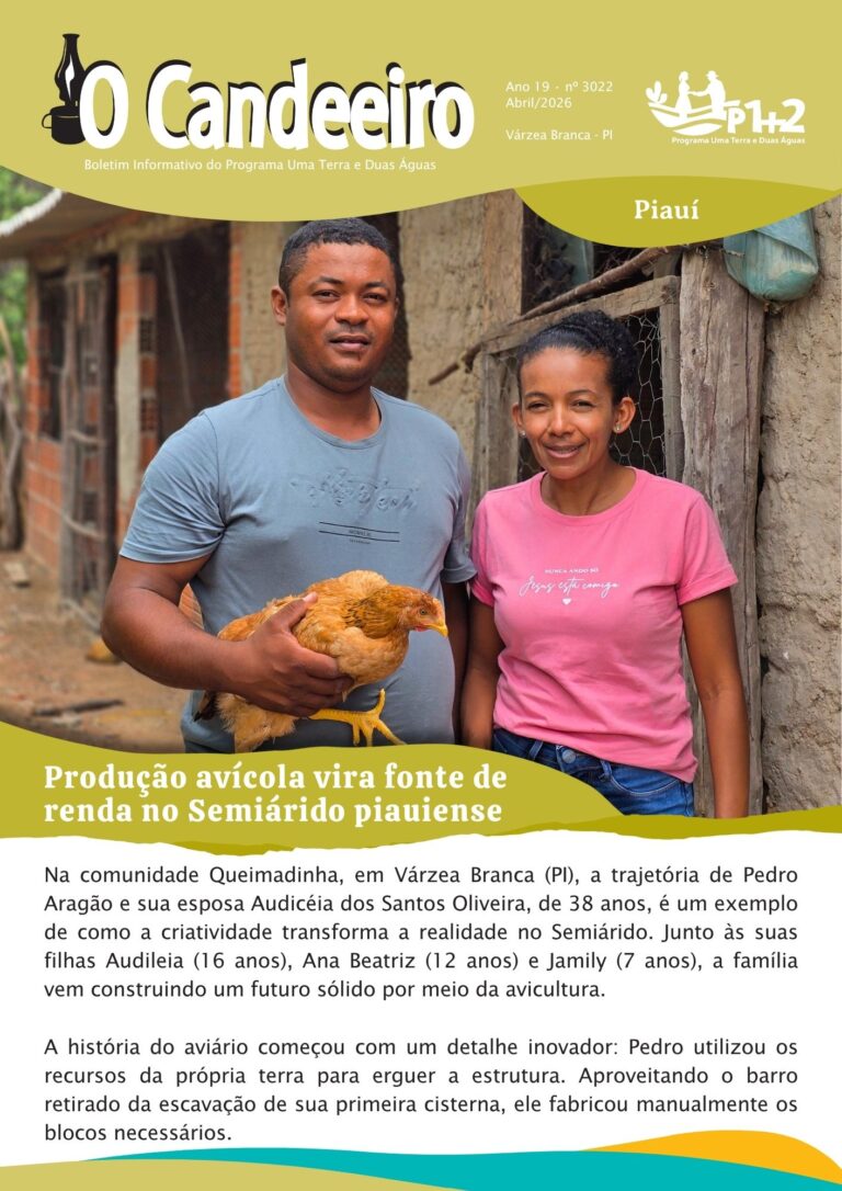 Produção avícola vira fonte de renda no Semiárido piauiense