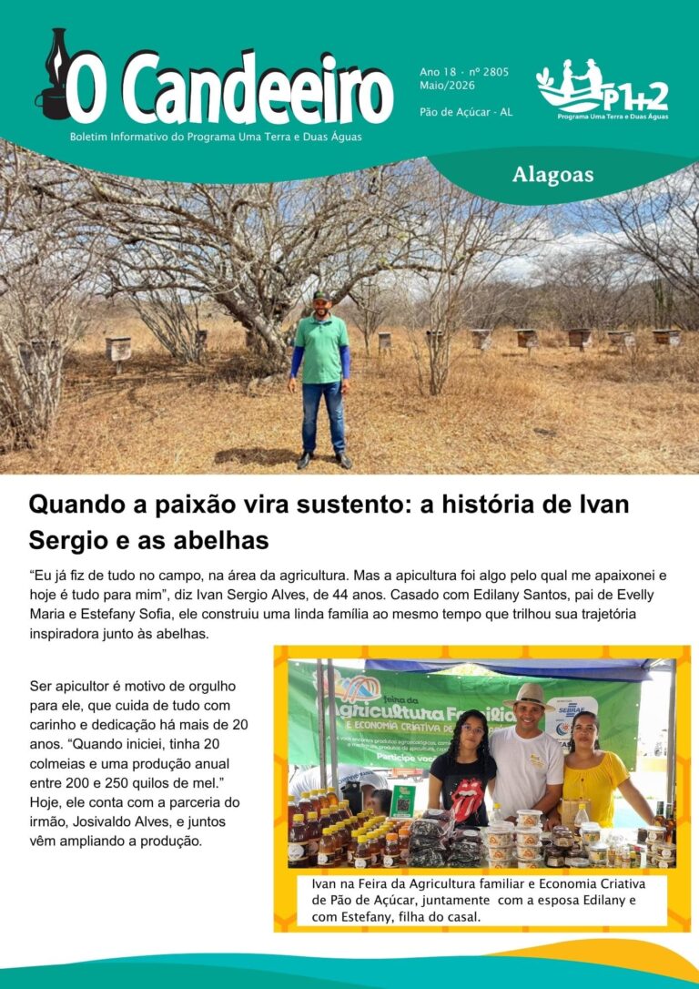 Quando a paixão vira sustento: a história de Ivan Sergio e as abelhas