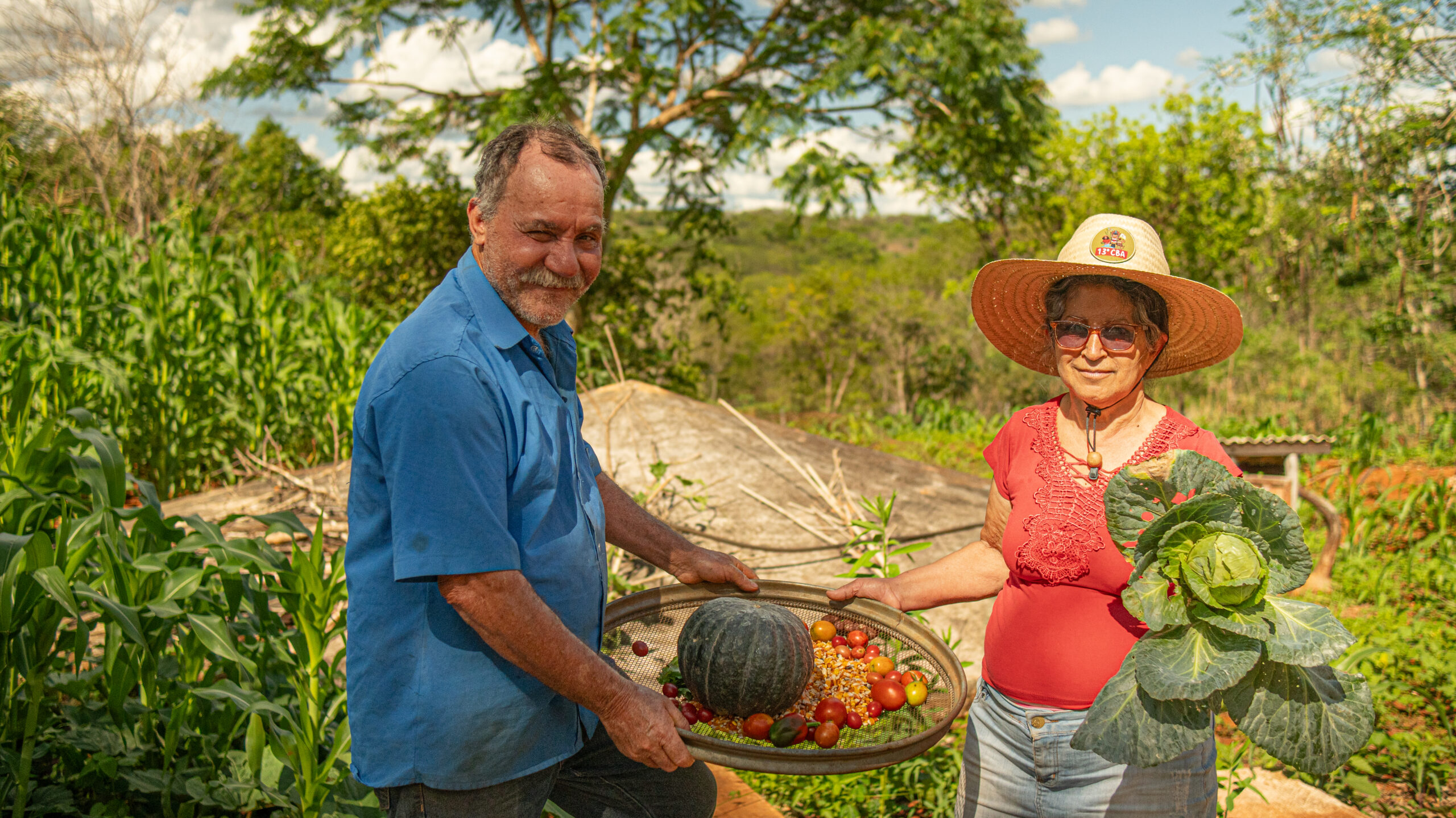 Programa de Aquisição de Alimentos (PAA) completa 23 anos como política estratégica de promoção da segurança alimentar no país