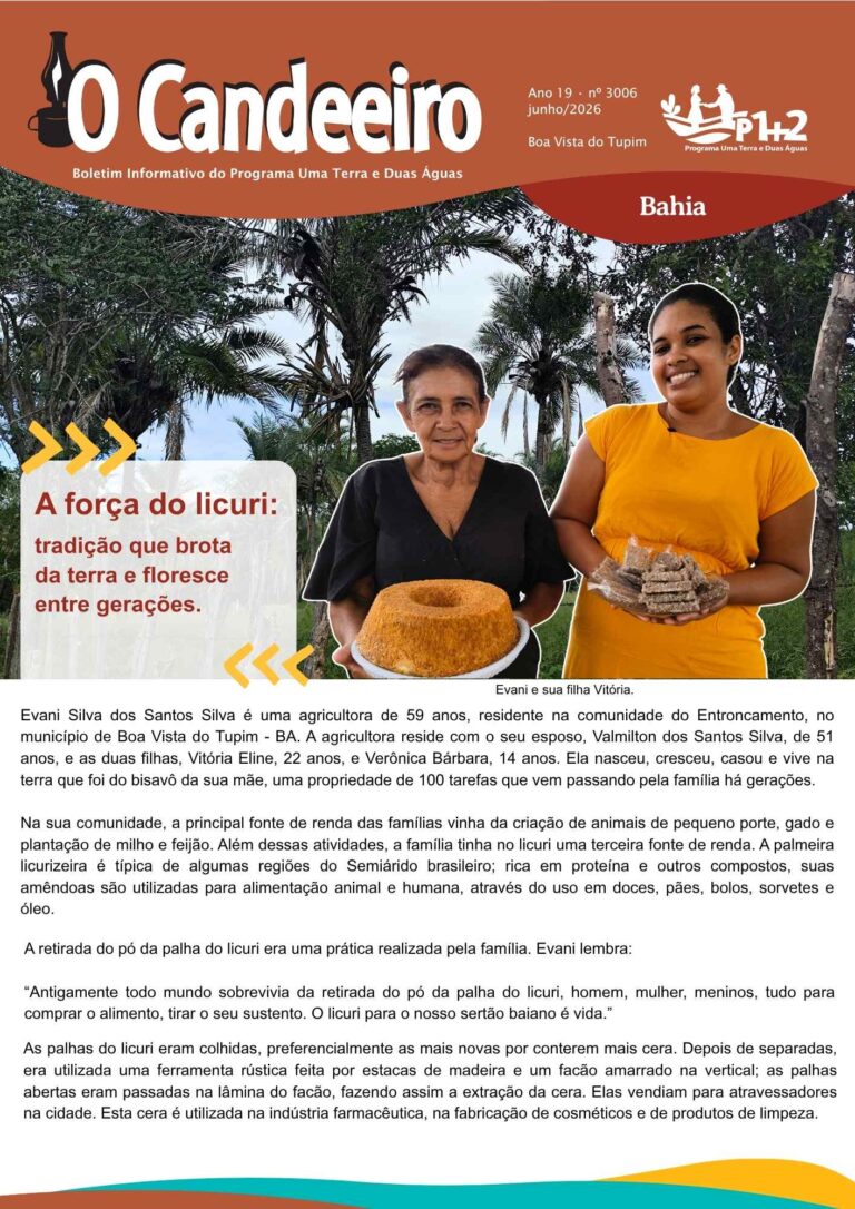A força do licuri: como a tradição familiar gera renda entre gerações
