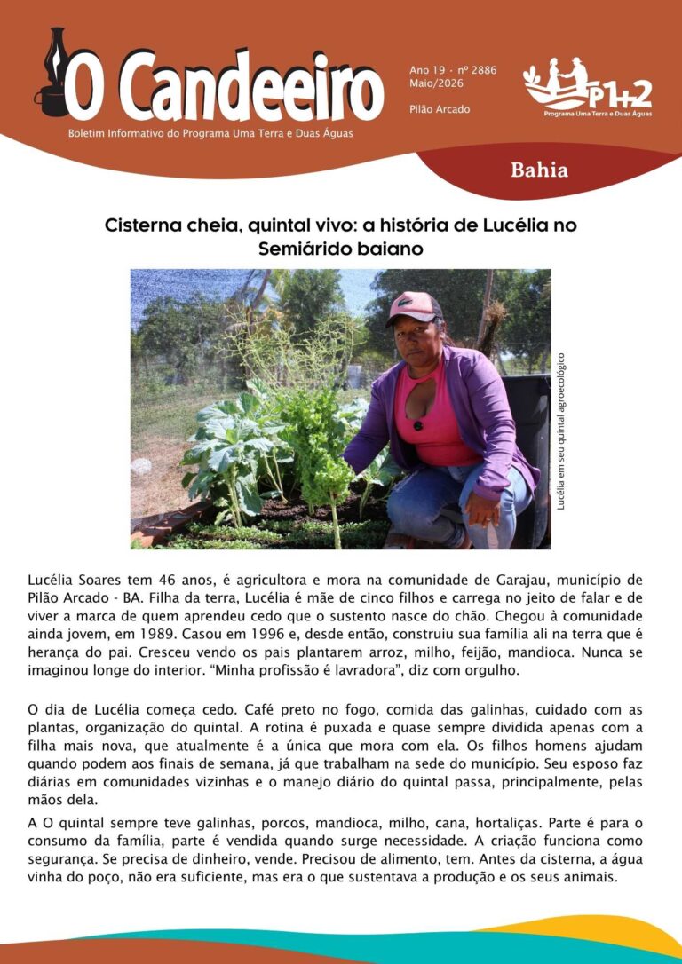 Cisterna cheia, quintal vivo: a história de Lucélia no Semiárido baiano