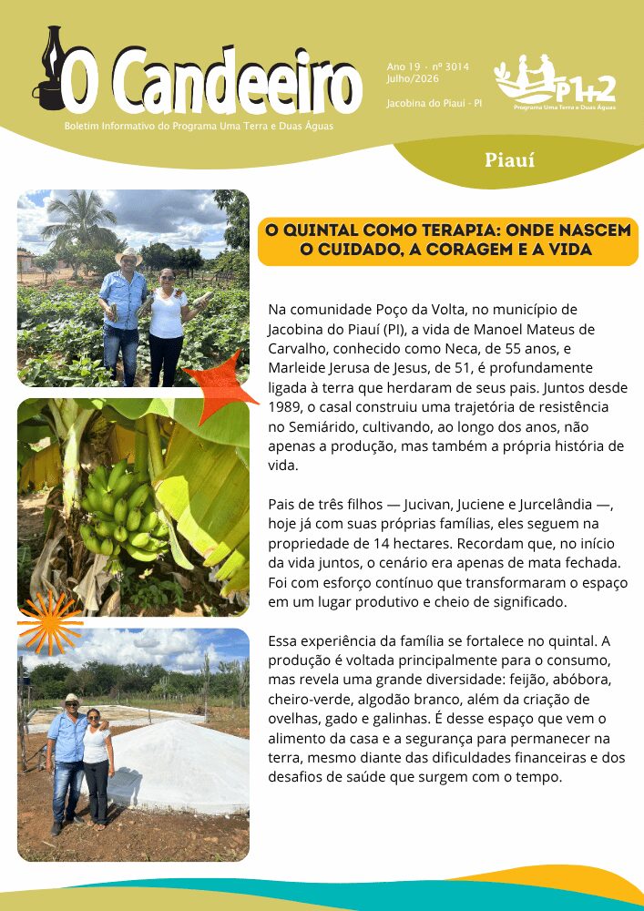 O QUINTAL COMO TERAPIA: ONDE NASCEM O CUIDADO, A CORAGEM E A VIDA