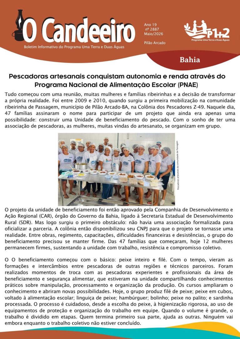 Pescadoras artesanais conquistam autonomia e renda através do Programa Nacional de Alimentação Escolar (PNAE)