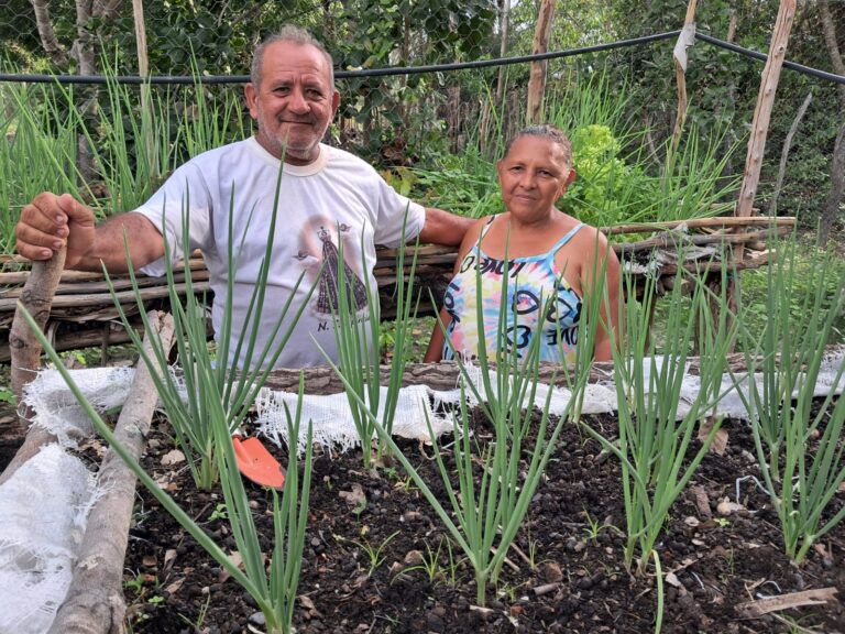 Tecnologia de Manejo da Agrobiodiversidade
