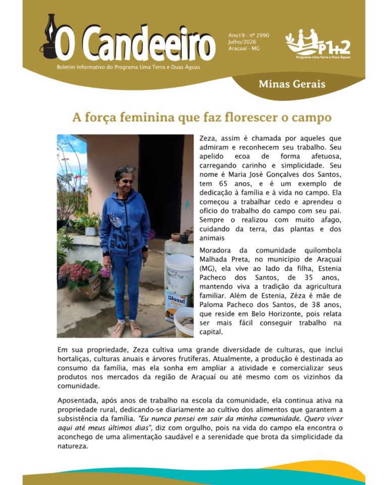 A força feminina que faz florescer o campo