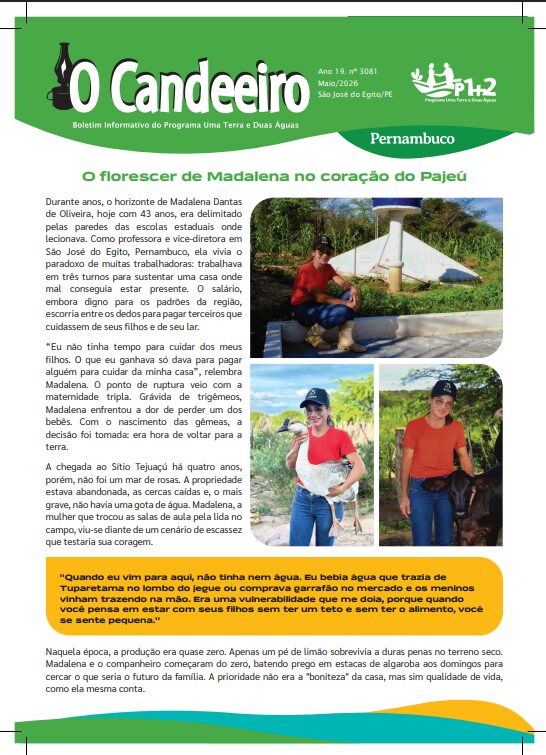 O florescer de Madalena no coração do Pajeú