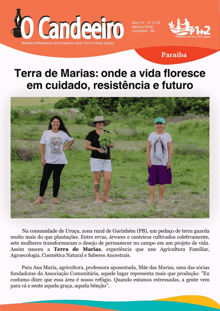 Terra de Marias: onde a vida floresce em cuidado, resistência e futuro