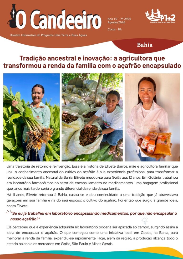 Tradição ancestral e inovação: a agricultora que transformou a renda da família com o açafrão encapsulado