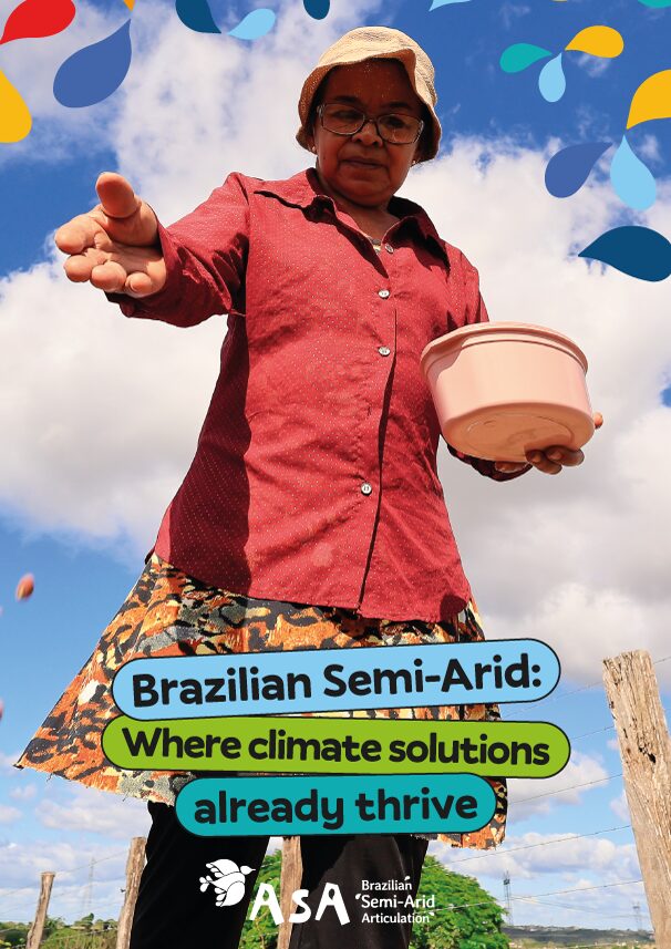 Brazilian Semi-Arid: Where climate solutions already thrive