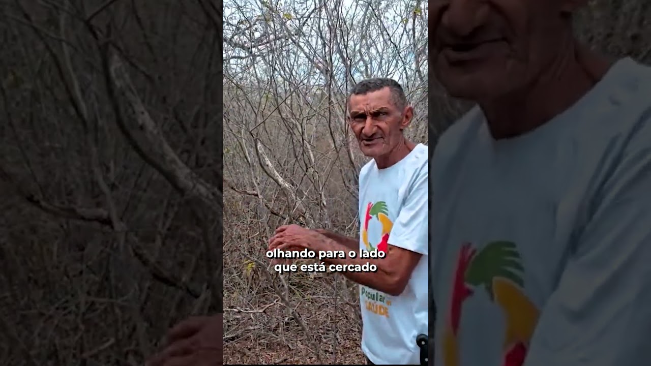 ELES ESTÃO REFLORESTANDO A CAATINGA