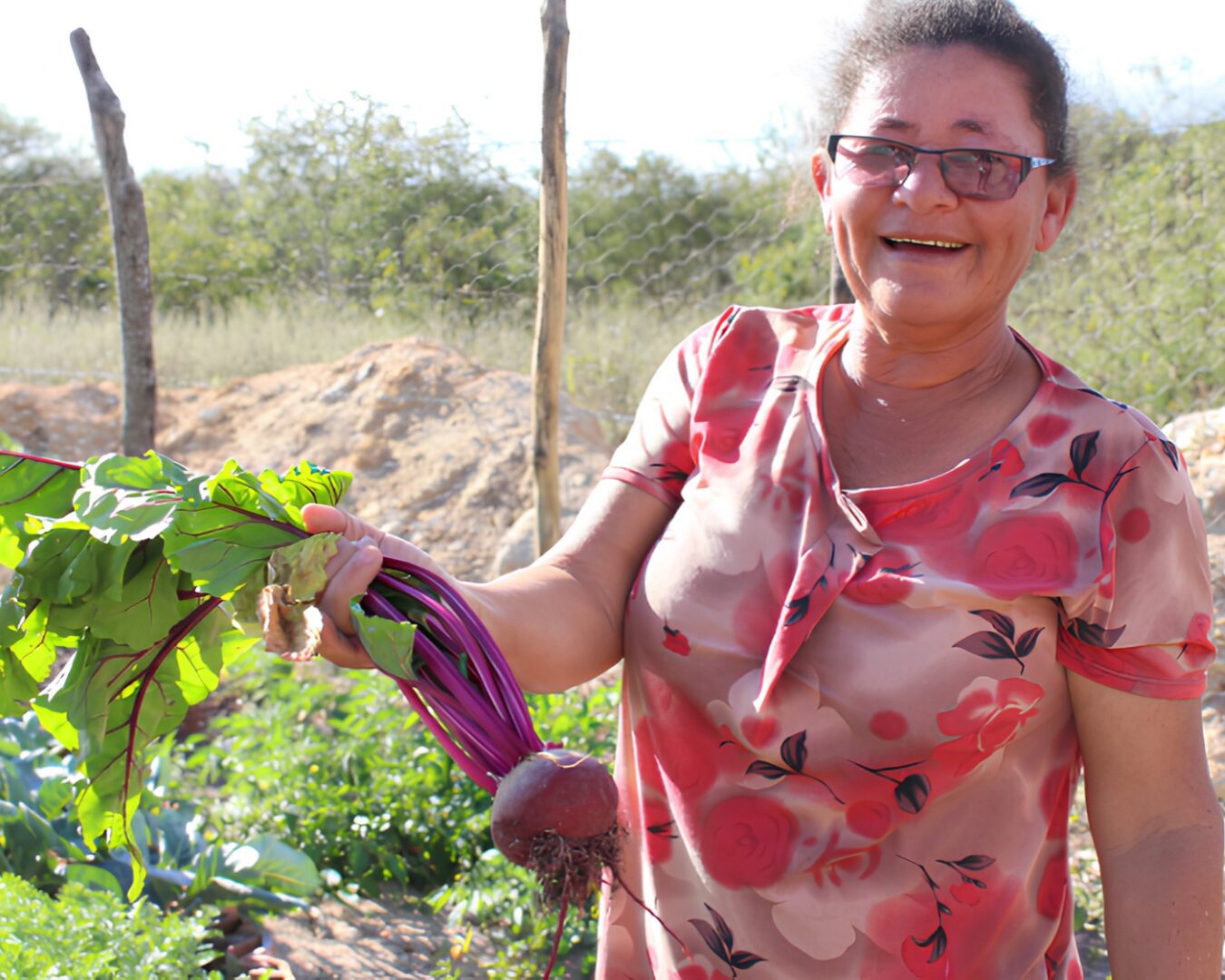 Agricultoras e agricultores de Pernambuco apresentam experiências de resiliência climática e combate à fome para delegação do Quênia