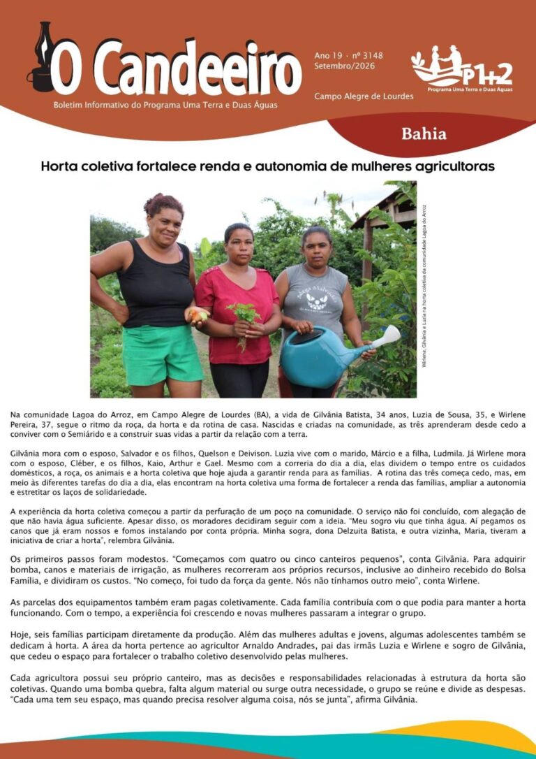 HORTA COLETIVA FORTALECE RENDA E AUTONOMIA DE MULHERES AGRICULTORAS