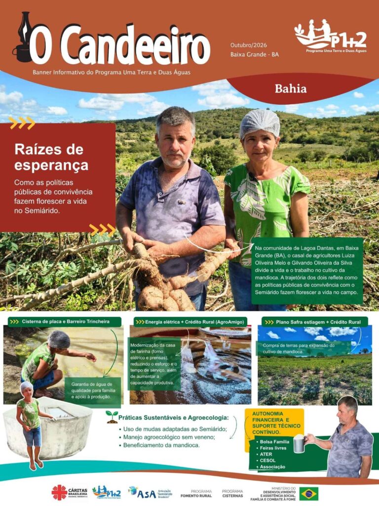 RAÍZES DE ESPERANÇA: COMO AS POLÍTICAS PÚBLICAS DE CONVIVÊNCIA FAZEM FLORESCER A VIDA NO SEMIÁRIDO.