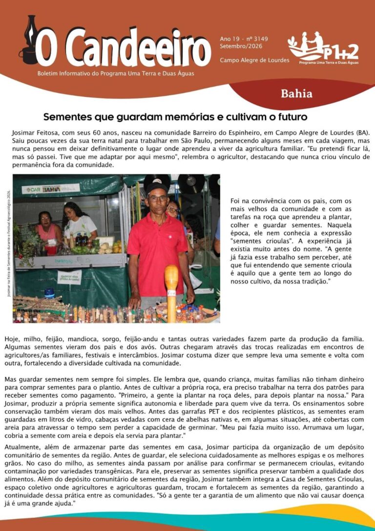 SEMENTES QUE GUARDAM MEMÓRIAS E CULTIVAM O FUTURO